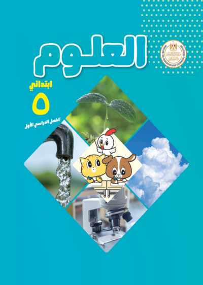 الصف الخامس الابتدائي
